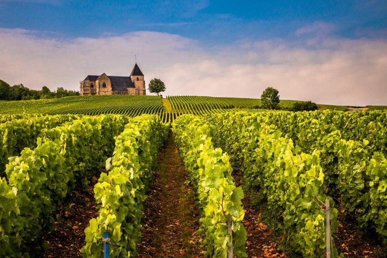 Vignobles de Touraine